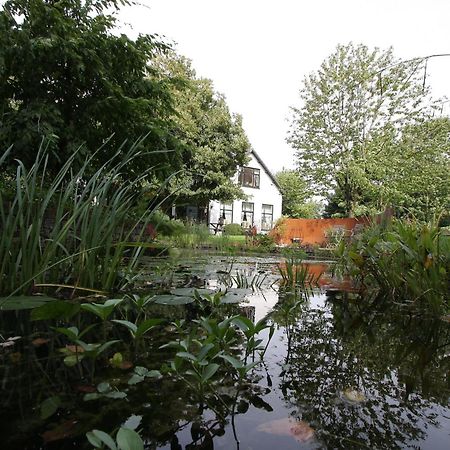 De Witte Wolk Bed & Breakfast Nieuw-Scheemda Eksteriør bilde