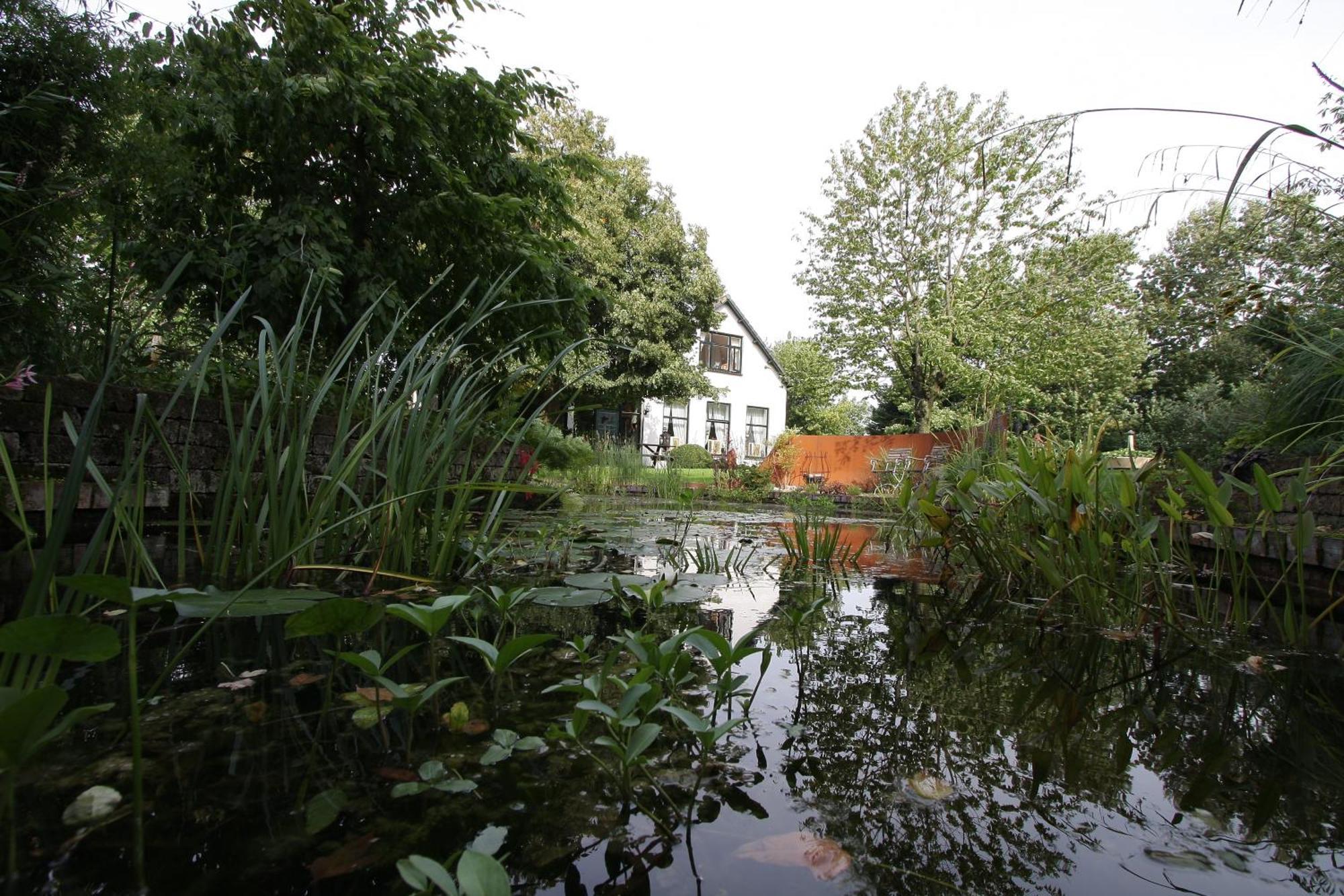 De Witte Wolk Bed & Breakfast Nieuw-Scheemda Eksteriør bilde