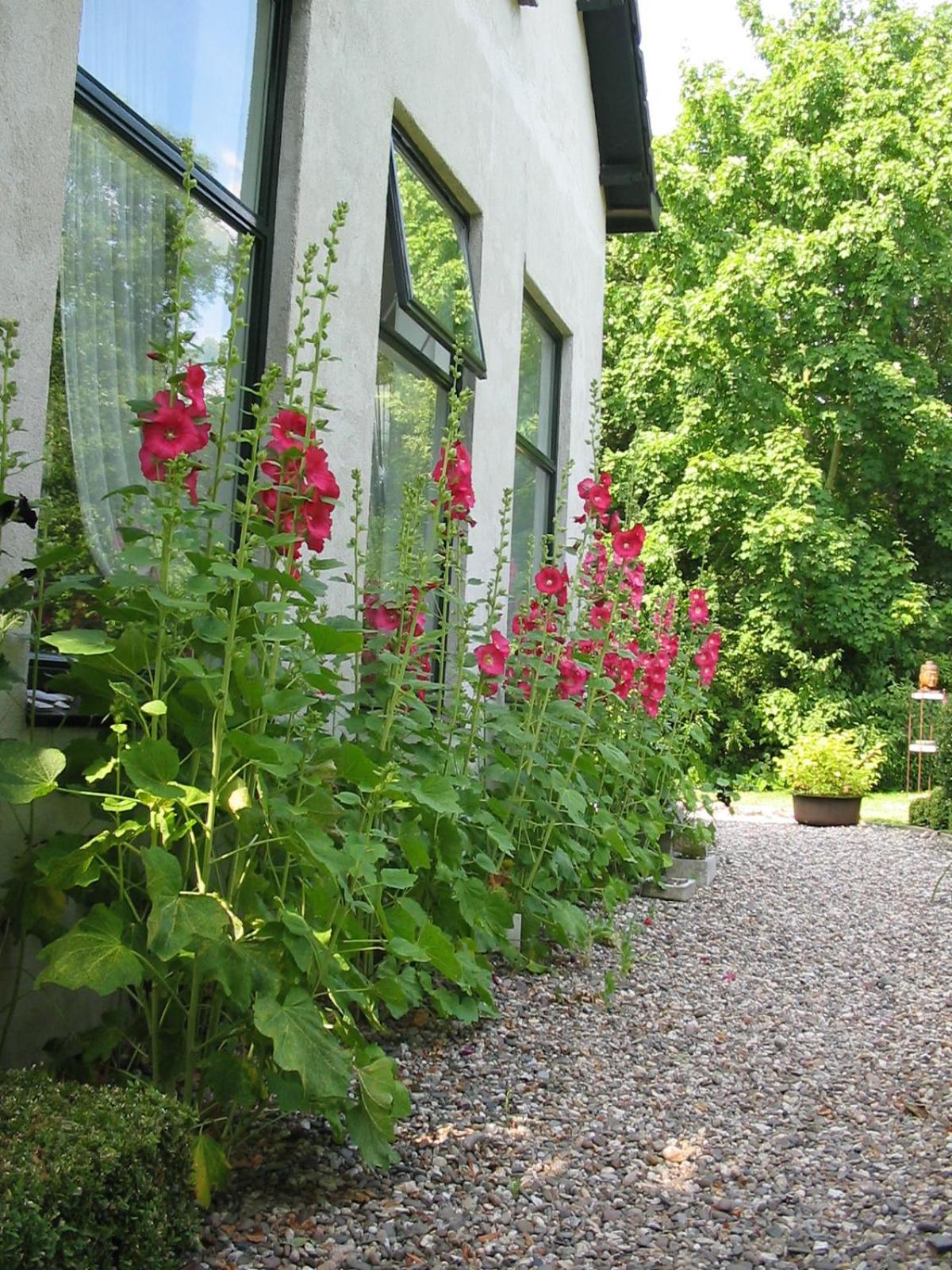 De Witte Wolk Bed & Breakfast Nieuw-Scheemda Eksteriør bilde